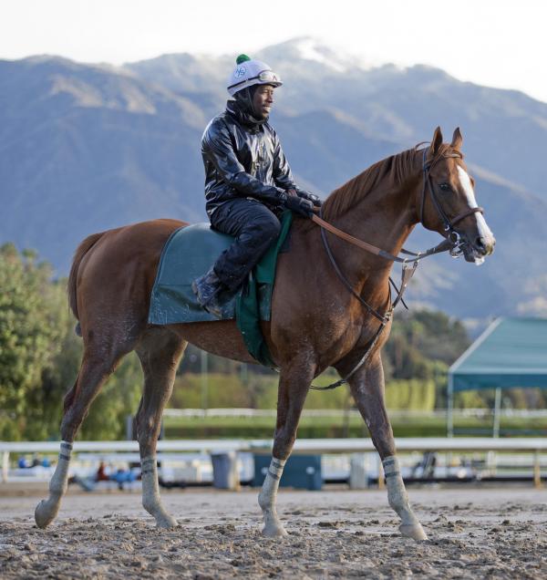 California Chrome begins final run in San Diego Handicap